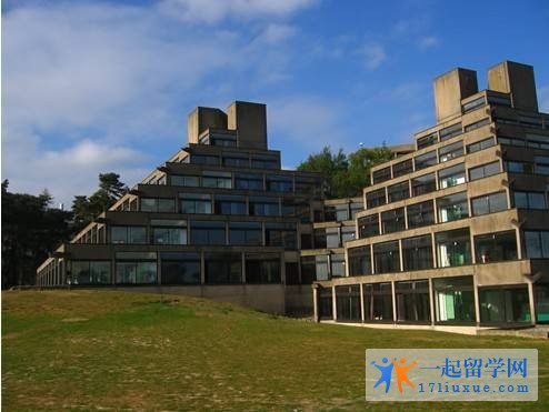 东安格利亚大学