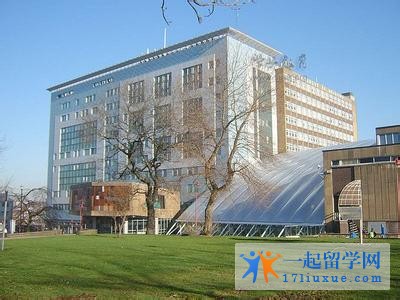 布拉德福德大学